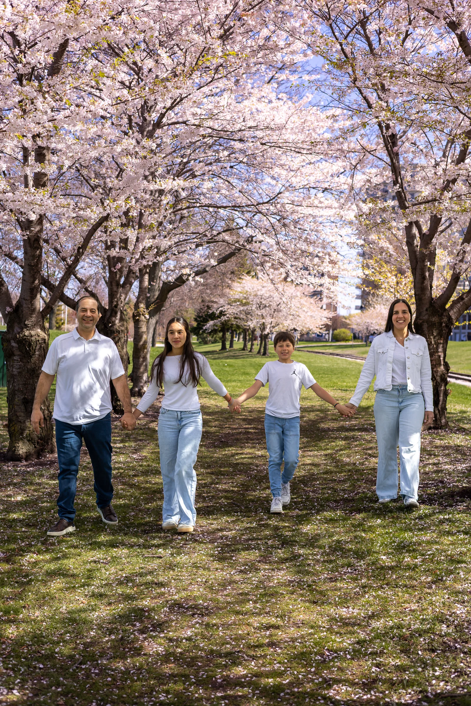 Family walking together beneath spring blossoms